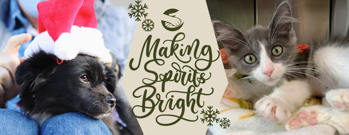 Holiday Donations Doubled! 